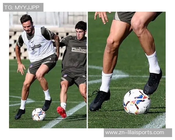 足球大全：探索全球足球文化与历史的全景指南